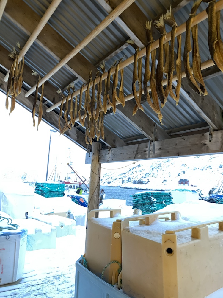 ‎⁨Magerøya⁩, ⁨Honningsvåg⁩, ⁨Norwegen⁩, Stockfisch